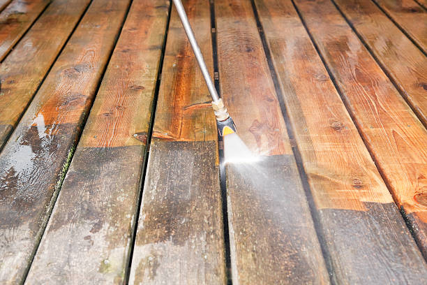 Animal Enclosure Cleaning in Weston, WI